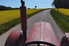 WhatsApp-Image-2022-05-15-at-10.17.23