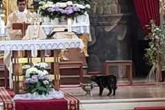 WhatsApp-Image-2022-05-28-at-18.26.23